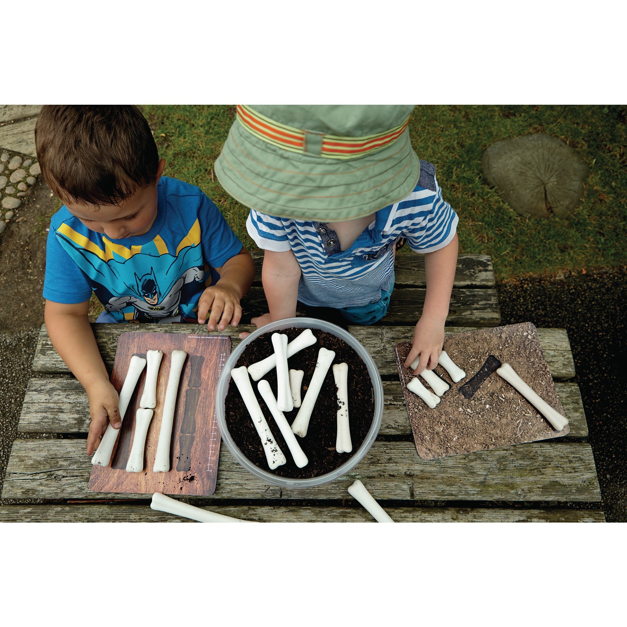 Dino Bones Match and Measure - Pack 16